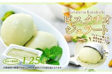 【訳あり】ピスタチオ ジェラート 1.25リットル【大容量 アイス 業務用 スイーツ 人気 デザート 冷凍 氷菓子 1.25L 家族 ファミリーサイズ イタリア シチリア産】