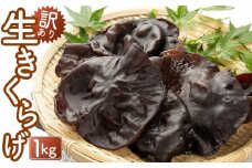 （訳あり）生きくらげ１kg