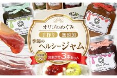 ＜年2回 定期便＞季節のヘルシージャム3本セット 【おまかせ3本セット・150ｇｘ3本（合計450ｇ）】× 2回