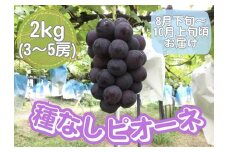 山口県産　種なしピオーネ2Kg（3～5房）