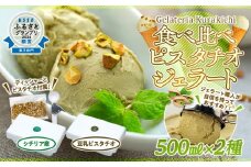 【数量限定】ジェラート 500ml×2種 食べ比べ シチリア産 ピスタチオ 豆乳ピスタチオ【大容量 アイス 業務用 セット スイーツ 人気 デザート 冷凍 氷菓子 合計 1リットル 家族 ファミリーサイズ イタリア】