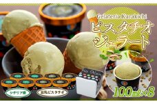 【数量限定】ピスタチオ ジェラート 100ml×8個（2種各4個）食べ比べ【アイス スイーツ 人気 デザート 冷凍 氷菓子 小分け セット 詰め合わせ イタリア シチリア産 豆乳 ピスタチオ】