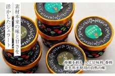 【数量限定】ピスタチオ ジェラート 121ml×8個（2種各4個）食べ比べ【アイス スイーツ 人気 デザート 冷凍 氷菓子 小分け セット 詰め合わせ イタリア シチリア産 豆乳 ピスタチオ】