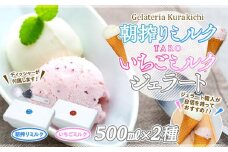 【数量限定】ジェラート 500ml×2種 食べ比べ 朝搾りミルク TAROいちごミルク【大容量 アイス 業務用 セット 合計 1リットル スイーツ 人気 デザート 冷凍 氷菓子 家族 ファミリーサイズ 苺】