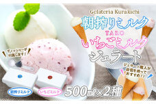 【数量限定】ジェラート 500ml×2種 食べ比べ 朝搾りミルク TAROいちごミルク【大容量 アイス 業務用 セット 合計 1リットル スイーツ 人気 デザート 冷凍 氷菓子 家族 ファミリーサイズ 苺】