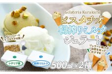 【数量限定】ジェラート 500ml×2種 食べ比べ  シチリア産 ピスタチオ 朝搾りミルク【大容量 アイス 業務用 セット 合計 1リットル スイーツ 人気 デザート 冷凍 氷菓子 家族 ファミリーサイズ】