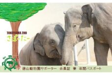 周南市徳山動物園サポーター会員入会券（1名様分）