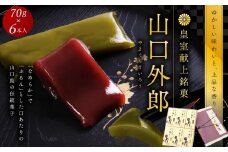 ういろう 6本入 (70g×6本) 皇室献上 和菓子 山口 外郎