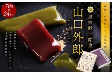 ういろう 24本入 (70g×24本) 皇室献上 和菓子 山口 外郎