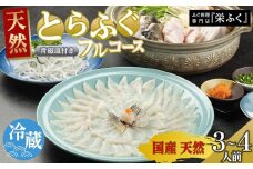 ふぐ料理専門店 『栄ふく』 国産 天然 とらふぐフルコース（3～4人前）青磁皿30cm付