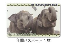 周南市徳山動物園年間パスポート（１枚）
