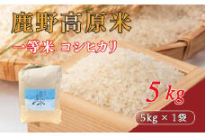 【先行予約 2025年10月以降発送】鹿野高原米 コシヒカリ 5 kg 令和7年産 精米 炊飯器 釜