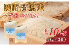 【先行予約 2025年10月以降発送】鹿野高原米 コシヒカリ 10 kg （ 5 kg × 2 ） 令和7年産 精米 炊飯器 釜
