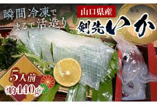 瞬冷まるで活造り！天然 剣先イカ 5人前程度 いか イカ 烏賊 活造り 刺身 おつまみ おかず 肴 魚介類 魚介 海鮮 海の幸 海産物 食品 F6L-044