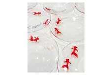 【ギフト用】金魚豆皿（５枚セット）＜ガラス作家 松尾具美＞ F6L-085
