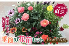 生産農場直送！季節の花苗セット 10～15ポット 花苗 苗 セット 寄せ植え 花壇 ガーデニング F6L-415
