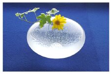 ＜ガラス作家 池本美和＞一輪挿し「Water Egg」 吹きガラス 硝子 ガラス 一輪挿し 花瓶 池本美和 贈り物 ギフト F6L-472