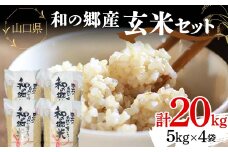 玄米 和の郷産玄米セット 5kg×4袋 計20kg 国産 玄米 米 セット 小分け 備蓄 防災 贈り物 ギフト F6L-594