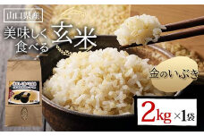 ＜先行予約＞美味しく食べる玄米 2kg 玄米 金のいぶき 定期便 ご当地 グルメ 食品 F6L-1088