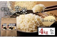 美味しく食べる玄米 計4kg 2kg×2袋 玄米 金のいぶき 小分け 定期便 ご当地 グルメ 食品 F6L-1089