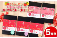 紅ほっぺカレー×2個・ミニトマトカレー3種×各1個のセット 5食分 カレー 甘口 紅ほっぺ イチゴ いちご 苺 中辛 ミニトマト 花鳥風月 ラブリーさくら トマトベリー ご当地 グルメ 食品 F6L-643