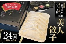 萩の地酒 東洋美人と萩のブランド豚 むつみ豚を使用した 美人餃子 計24個 12個入×2箱 3種の塩付 梅塩 レモン塩 ワサビ塩 小分け むつみ豚 餃子 惣菜 おかず おつまみ 肴 ご当地 グルメ 食品 F6L-613