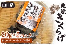 乾燥きくらげ 20g×5パック 100g 小分け 使いやすい きくらげ 乾燥 小分け 乾物 保存食 低カロリー 料理 ご当地 グルメ 食品 山口県 山陽小野田 F6L-650