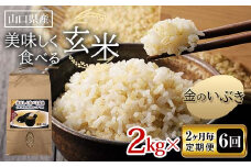 《2ヶ月毎定期便 全6回》美味しく食べる玄米 2kg×6 計12kg 玄米 金のいぶき 定期便 ご当地 グルメ 食品 F6L-1090