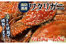 【期間・数量限定】《時間指定不可》 活きたまま発送！周防灘産ワタリガニ　約1.5kg～1.8kg F6L-666