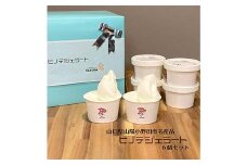 大人気！ヒノデジェラートセット 計6個 2種×各3個 みるく 山口きららみるく ジェラート 食べ比べ セット ミルク 牛乳 山口きらら牛乳 アイスクリーム デザート ご当地 グルメ 食品 F6L-970