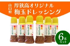 厚狭高 オリジナル梅玉ドレッシング6本セット 梅玉 ドレッシング 厚狭高校 玉ねぎ 梅 サラダ 肉料理 魚料理 料理 調味料 ご当地 グルメ 食品 F6L-619