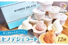 ヒノデジェラート プレミアムフレーバー入り 12個セット 各90ml ジェラート セット ミルク 山猿 ショコラ トマト ヨーグルト きなこ きなこもち チョコチップクッキー つぶあん アイス デザート ご当地 F6L-971