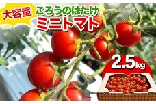 大容量 ごろうのはたけ ミニトマト 2.5kg 高糖度 濃厚 トマト サラダ 山陽小野田 F6L-645