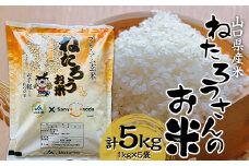 ねたろうさんのお米（金のいぶき玄米） 5kg 玄米 金のいぶき ご当地 グルメ 食品 F6L-1064