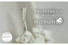 本物のタコを型取りしたネックレス sternum シルバー silver アクセサリー ファッション F6L-1113