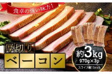 厚切りベーコン 計約3kg 970gｘ3パック 小分け 大容量 厚切り ベーコン 肉 豚肉 豚バラ 料理 朝食 朝ご飯 グルメ ふるさと納税 F6L-1068