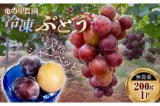 「冷凍ぶどう」200g フルーツ ぶどう 葡萄 ブドウ 山口県 山陽小野田市 ふるさと納税 F6L-1135
