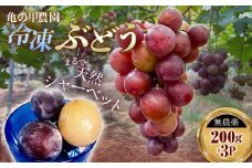 「冷凍ぶどう」200g×3パック（600g） フルーツ ぶどう 葡萄 ブドウ 山口県 山陽小野田市 ふるさと納税 F6L-1074