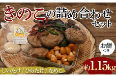 【先行予約】きのこの詰め合わせセットお餅つき（約1,150g）  農家直送 しいたけ ひらたけ なめこ お餅 ご当地 グルメ 食品  F6L-1139
