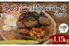 【先行予約】きのこの詰め合わせセットお餅つき（約1,150g）  農家直送 しいたけ ひらたけ なめこ お餅 ご当地 グルメ 食品  F6L-1139