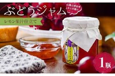 ぶどうジャム１瓶（レモン果汁仕立て） 100g ぶどう ジャム 加工品 食品 F6L-1143