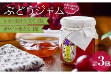 ぶどうジャム３瓶（レモン果汁仕立て2瓶・赤ワイン仕立て1瓶）100g×3 ぶどう ジャム 加工品 食品 F6L-1150