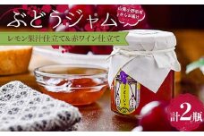 ぶどうジャム２瓶（レモン果汁仕立て１瓶・赤ワイン仕立て1瓶）100ｇ×2 ぶどう ジャム 加工品 食品 F6L-1147