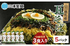 瓦そば3食入り5パックセット 蕎麦 そば 瓦そば つゆ セット 抹茶 蒸し麺 麺 麺類 食品 F6L-1212