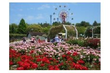 蜂ヶ峯総合公園利用券　6,000円分