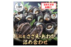 B-3　上関産さざえ・あわび詰め合わせ【なごみ】