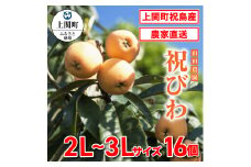 A-6　祝びわ【山田農園】