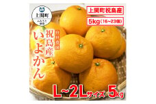 A-14　祝島産いよかん【山田農園】