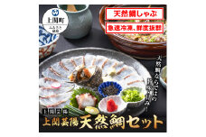 E-2　「上関芸陽」天然鯛セット【上関芸陽】
