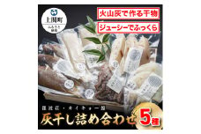 C-7　灰干し詰め合わせ【銀波荘・カイキョー館】